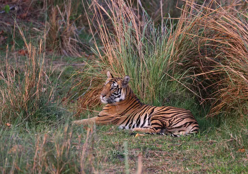 Spiti Valley Winter Landscape